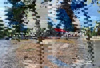 em chính chủ cần bán