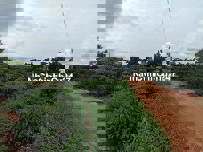 Đất chính chủ chỉ 750 triệu sở hữu 250m² 88mONT tại Mê Linh Lâm Hà