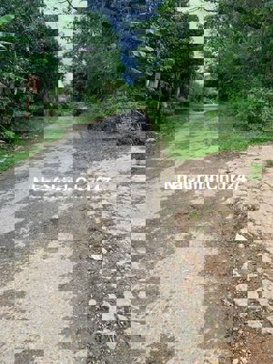 chính chủ cần bán lô đất 2 mt quốc lộ 14g cũ. 
dt gần 1000m có 400m ở.