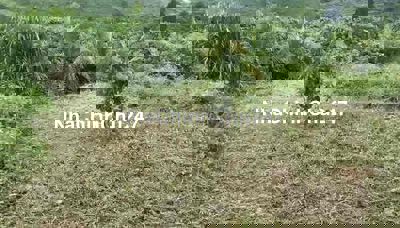 Chính chủ đất nền giá rẻ xã Tân Lâm huyện Di Linh