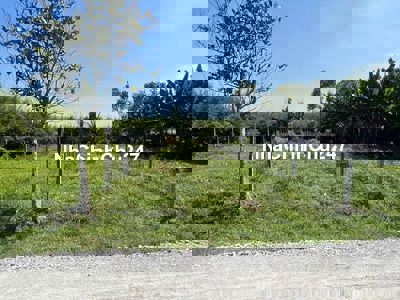 CHÍNH CHỦ GỬI BÁN 390 TR LÔ ĐẤT MẶT TIỀN SIÊU ĐẸP PHƯỚC HIỆP CỦ CHI