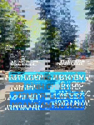 CHÍNH CHỦ ĐẤT 146M2 MT NGUYỄN ĐÌNH CHIỂU NAM VIỆT Á