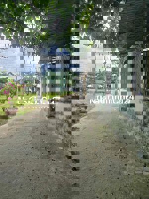 Tôi Chính Chủ Cần Bán Đất Đà Sơn 2 . Khu VIP 2, 45 Ty