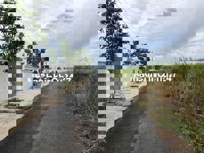 Chính chủ kẹt tiền bán gấp 1356m2 đất thổ cư