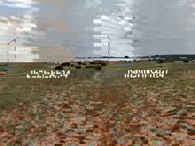 Chính chủ bán nhanh gần 7.000m² đất rộng, sổ đỏ riêng tại Tuy Phong