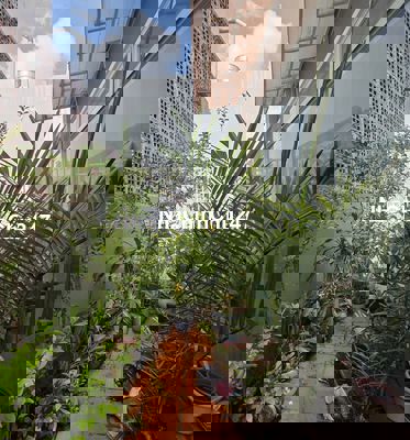 Chủ ngộp bán nhà 2lau,gần Bạch Đằng,BThanh,62m,Full nội thất,hơn 7ty