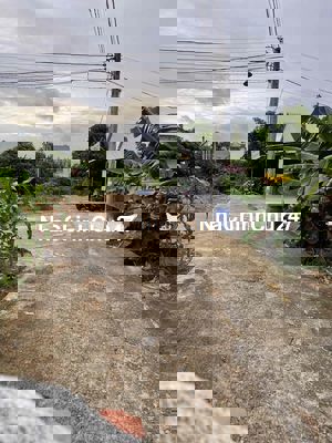 Cần bán đất thổ cư chính chủ 100m2 giá rẻ tại Long An giáp Bình Chánh