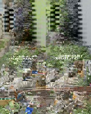 chính chủ ra đi đất dt 81,6m2 giá 879tr Hóc Môn