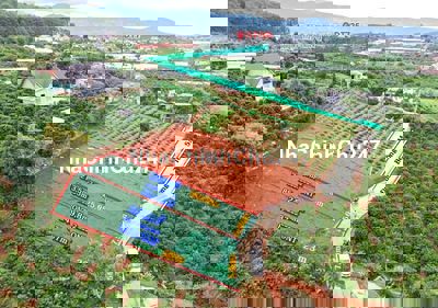 Đất chính chủ cần bán 250m² 88mONT tại Mê Linh Lâm Hà gần Đà Lạt