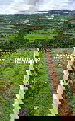 Đất chính chủ cần bán 200m² 72mONT sổ hồng riêng tại Đinh Văn Lâm Hà