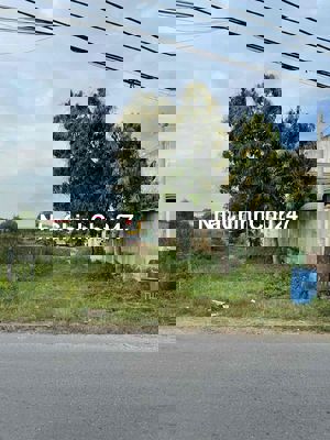 (56)BÁN GẤP LÔ ĐẤT 160,8M² – XÃ TÂN THÔNG HỘI, CỦ CHI – CHÍNH CHỦ.