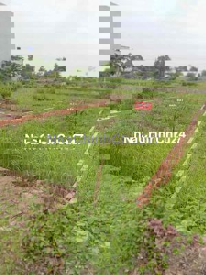 chính chủ cần bán