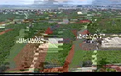 Chính chủ bán đất gần sân bay Liên Khương chỉ 790 triệu có 157m²