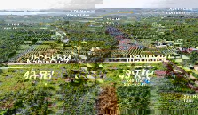 Đất chính chủ cần bán Đinh  Văn Lâm Hà 430 triệu sổ riêng