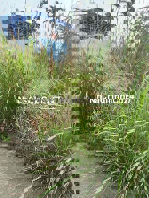 Cần Bán Đất Liên Khê Thuỷ Nguyên Sổ Đỏ Chính Chủ