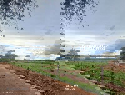 Chính chủ bán đất gần sân bay Liên Khương chỉ 670 triệu sẵn thổ cư