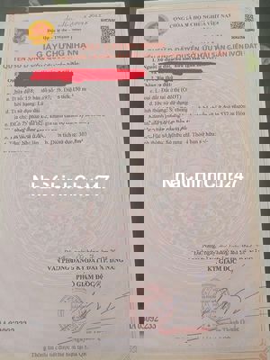 Mình chính chủ cần bán 2 dãy trọ khu biệt thự 532