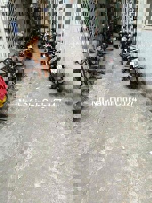 Mình chính chủ cần bán căn nhà hẻm đường số 37 phường Tân Kiểng quận 7