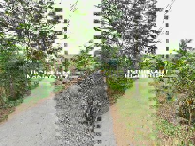 CHINH CHU CAN BAN GAP DAT MT DUONG