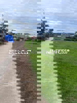 CHÍNH CHỦ BÁN LÔ ĐẤT LỘC HOÀ 1 ĐỨC HOÀ 150m2