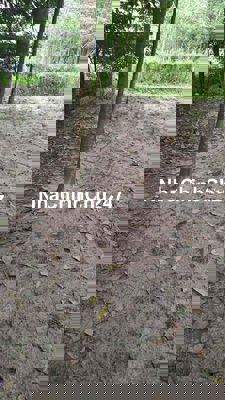 Đất chính chủ xã Minh Thạnh huyện dầu Tiến tỉnh Bình Dương cần bán 288