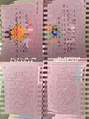 chính chủ . giải quyết công việc cần bán gấp . lô góc đường bình chuân