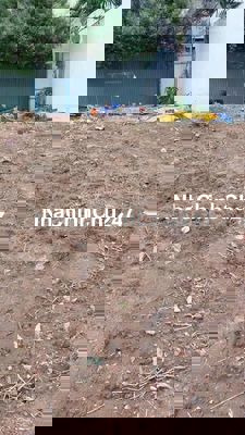 Bán đất chính chủ 84m2 phường phú Thuận, Quận 7,TP.HCM