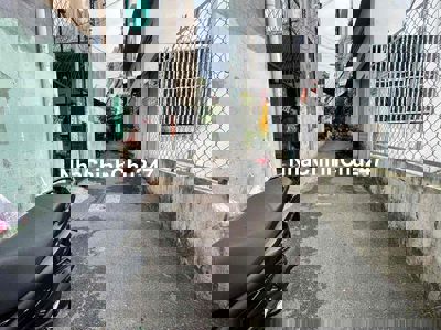 54M2 (4,4 X12) - BÁN ĐẤT TẶNG NHÀ - TRUNG TÂM P17 GÒ VẤP - CHÍNH CHỦ 1