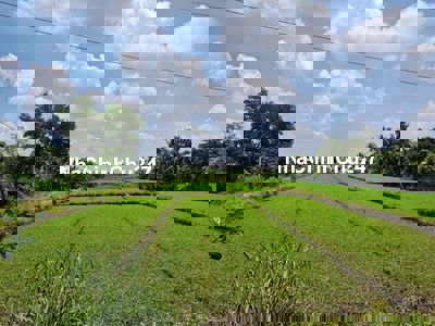 chủ gửi lo đất mặt tiền nhi bình 18 (2500)