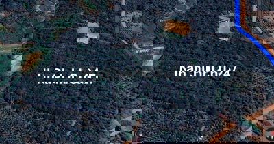 Bán đất rẫy - Chính chủ - Diện tích 3hec 1 ( hồ nước 2700m)