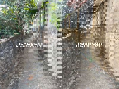 Chủ cần bán gấp lô đất kiệt Đặng Thái thân ngủ hành Sơn TPĐN