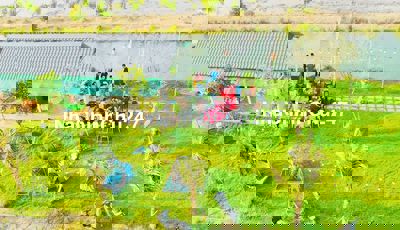 Chính chủ bán đất nhà vườn bao rộng 1000m2 Long An