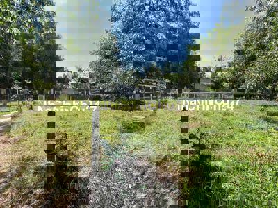 Chủ hạ giá 500tr : Đất thổ + vườn -16x22- An Nhơn Tây - Củ Chi