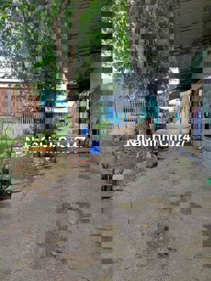 Bán nhà hoặc cố nhà 57m2 CHÍNH CHỦ KHÔNG QUA CÒ LÁI