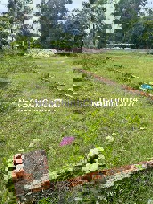 bán đất chính chủ