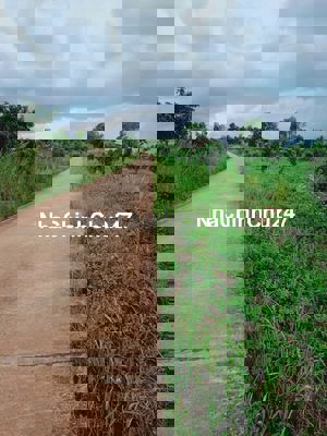 [CHÍNH CHỦ] muốn sang đất mặt tiền 11000m² Tuy Đức, Đắk Nông