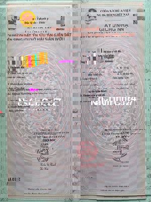 Chính chủ bán gấp CHDV cao cấp Phan Huy Ích, Gò Vấp, 16 phòng, 16.2 tỷ