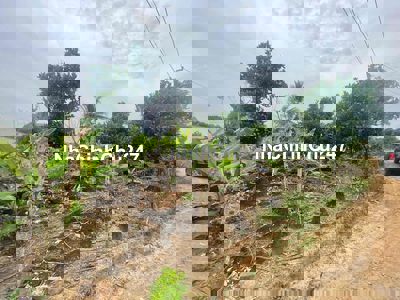 chính chủ - đất vườn Định Quán, Đồng Nai