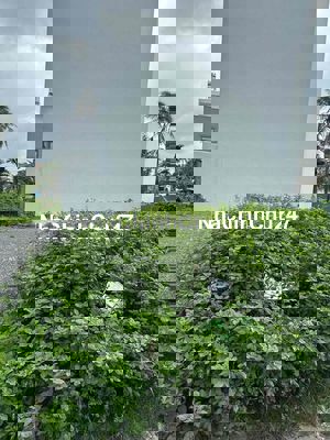 chín chủ bán đất mặt tiền Thạnh xuân 47 q12 giá hơn 3 tỷ