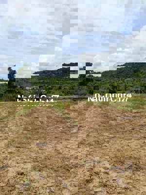 CHÍNH CHỦ BÁN 2 LÔ ĐẤT Tại QLA, Xã Tân Phúc, Huyện Hàm Tân, Bình Thuận