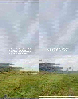 Chính chủ định cư nước ngoài cần bán lô đất CLN xã thuận hòa, bình thu