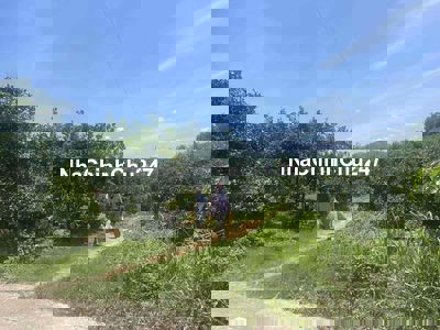 1080m2 chính chủ, Vườn trồng cây, ô tô tránh, sẵn hơn 20 gốc vải cổ