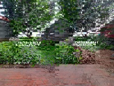 Chính Chủ Bán Đất Giá *** Thị Trường, Giá Chỉ 50 triệu/m2 .