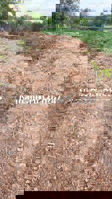 Chủ ngộp bán gấp, 6x27, full thổ, chỉ 159tr, sổ hồng riêng