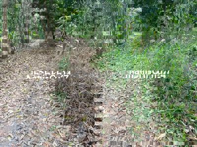 ĐẤT SÀO 2014M2 chỉ 650tr trọn sổ chính chủ