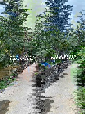 Chính Chủ cần bán lô đất 91m2 ODT full thổ cư 100%- TT Hiệp Hoà