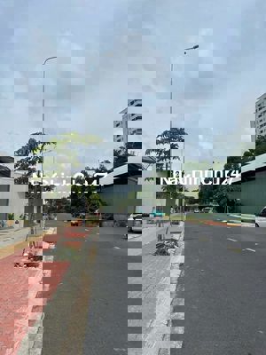 Chính chủ cần bán nhà HXH Trương Đình Hội P16Q8