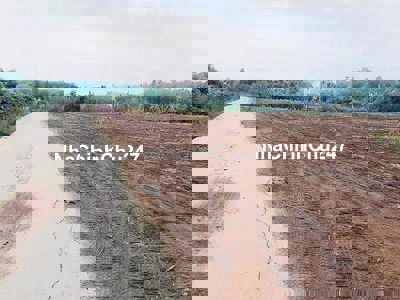 Chính  chủ  cần  bán  1  sào  tại  Bảo  Bình -Cẩm Mỹ