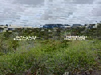 BÁN ĐẤT SỔ HỒNG CHÍNH CHỦ NGAY TRUNG TÂM P2 BẢO LỘC