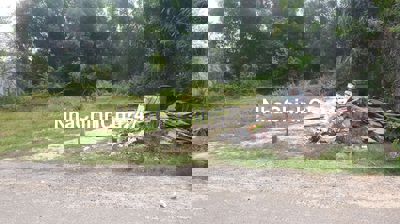 Chủ cần bán gấp trong tuần lô đất ở Phước Hiệp, DT:208m2, Giá: 540tr